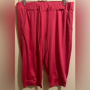 Pink Polyester Capris 1X